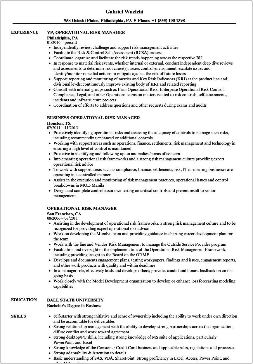 Sample Resume Summary For Risk Management