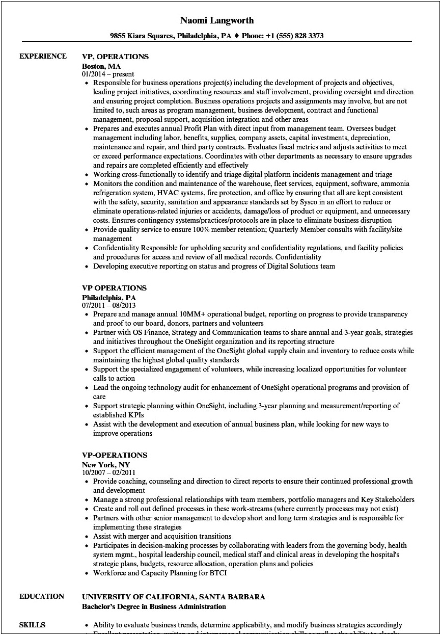 Sample Resume Vice President Of Operations