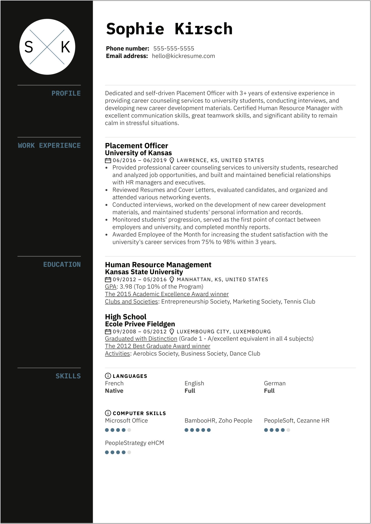Sample Resumes For It Director Position
