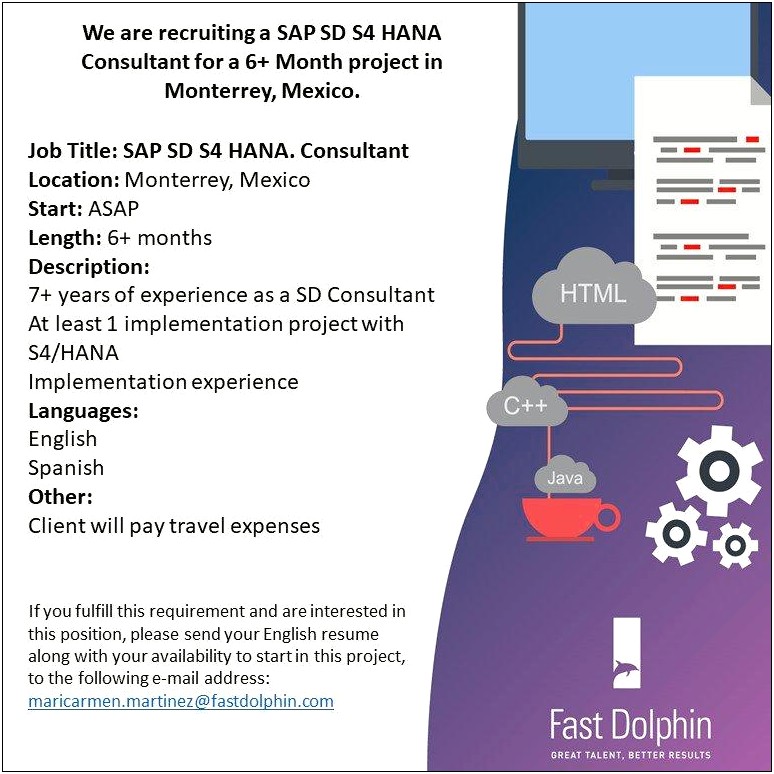 Sap Mm 6 Months Experience Resume