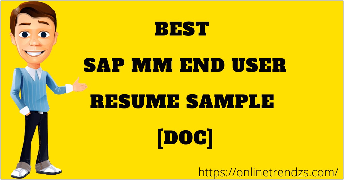 Sap Mm End User Resume Sample