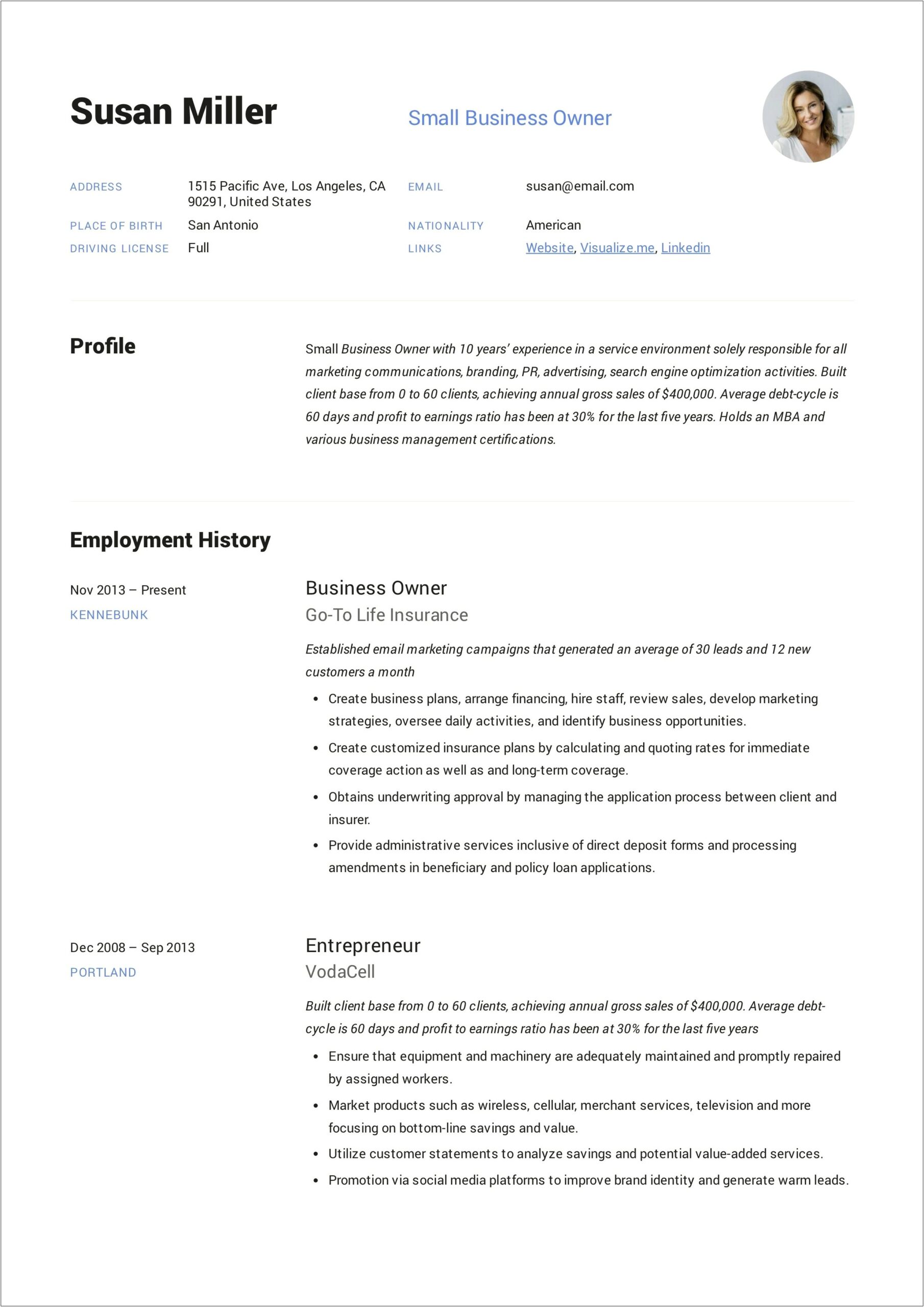 Self Employed Compamy Owner Resume Example