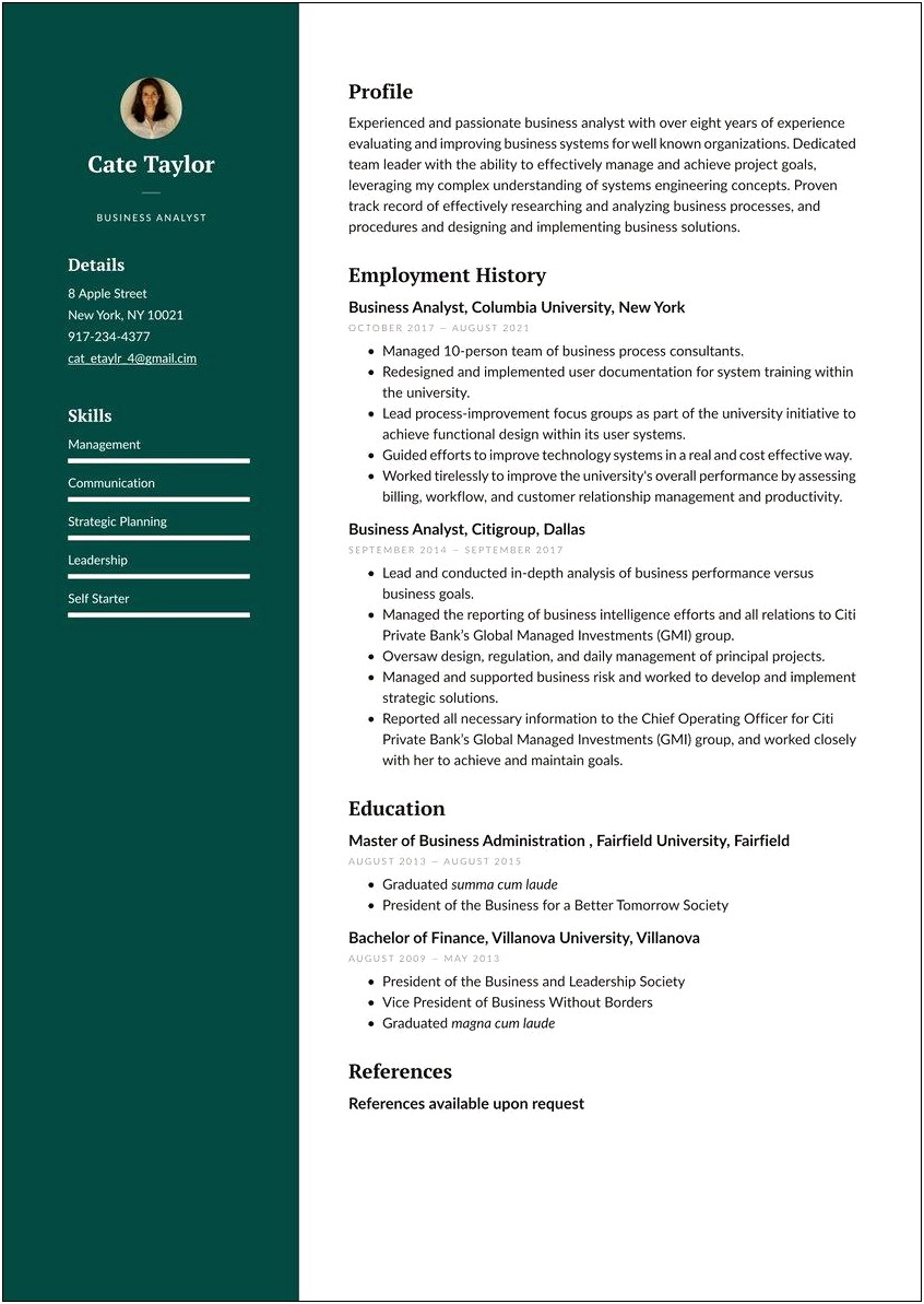 Senior Business Analyst Resume Summary Examples