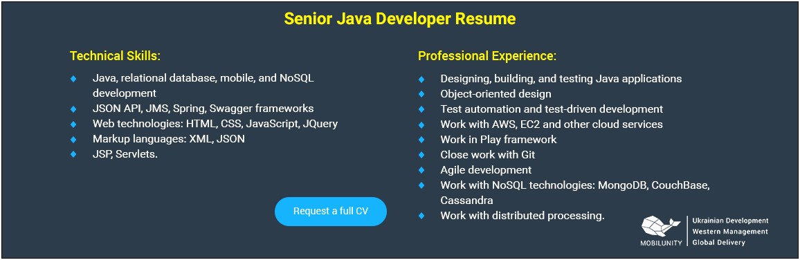 Senior Developer Resume Object Oriented