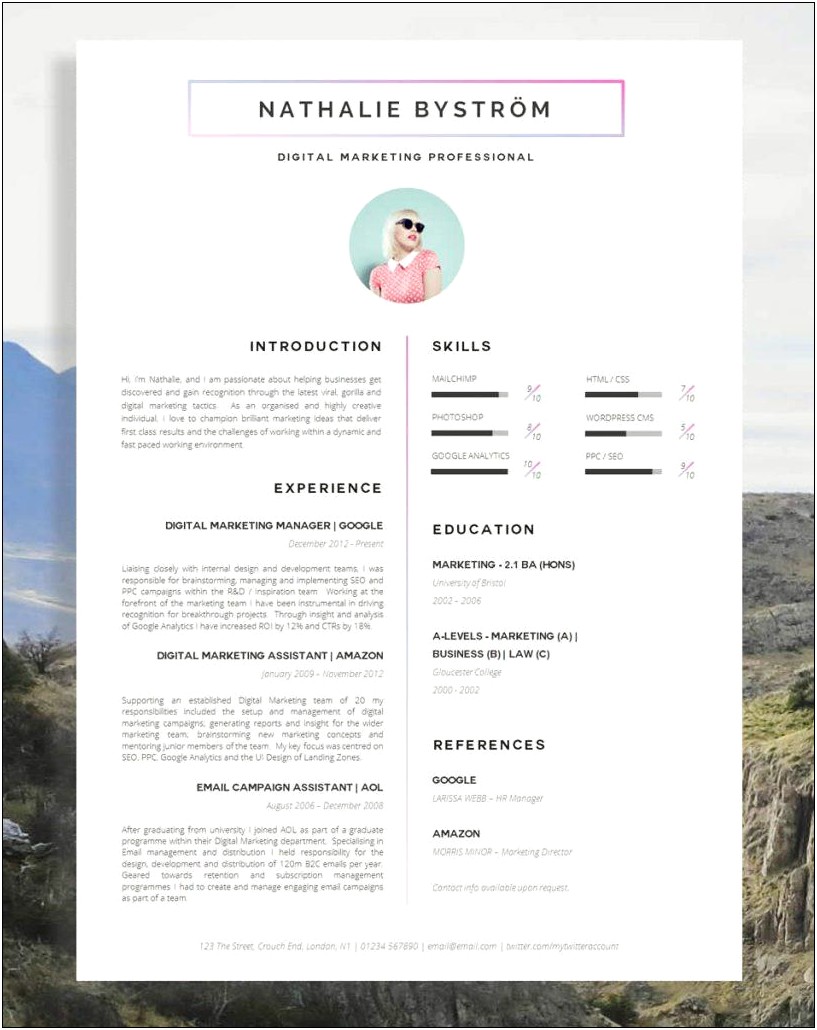 Simple Resume For Board Of Directors Examples