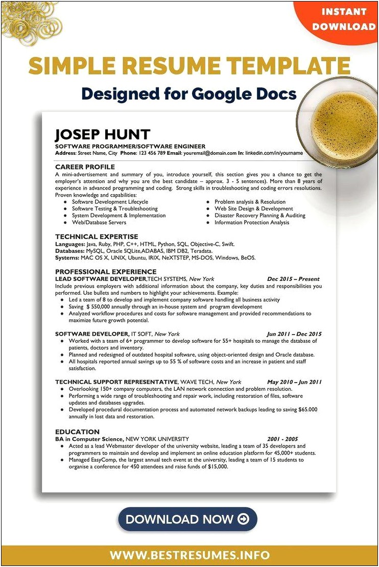 Software Developer Resume Template Google Docs