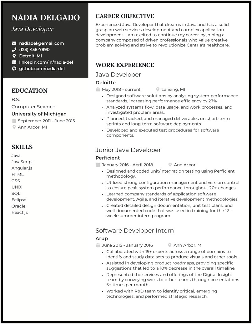 Software Development Life Cycle Experience Resume
