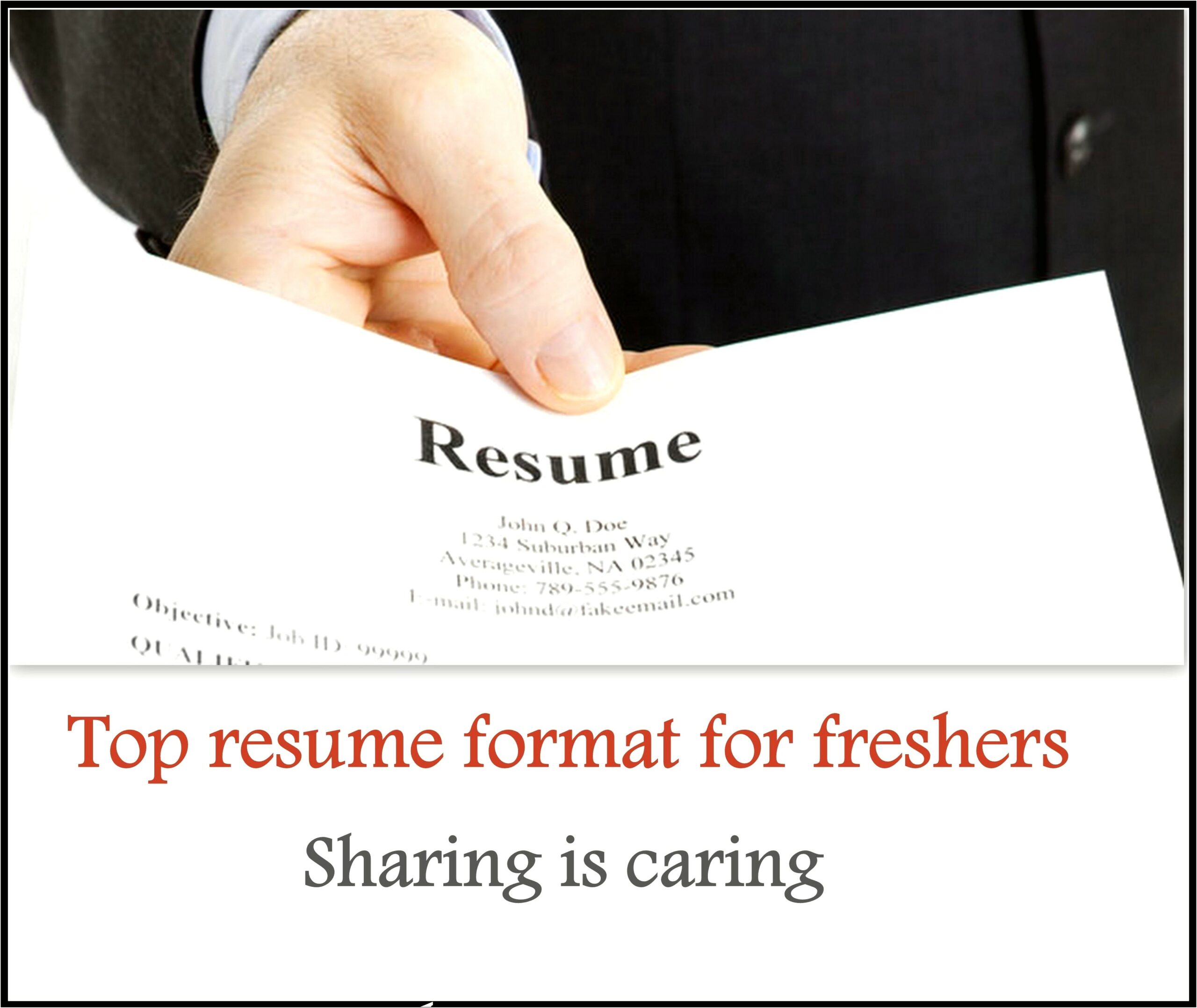 Standard Resume Format For Freshers Free Download