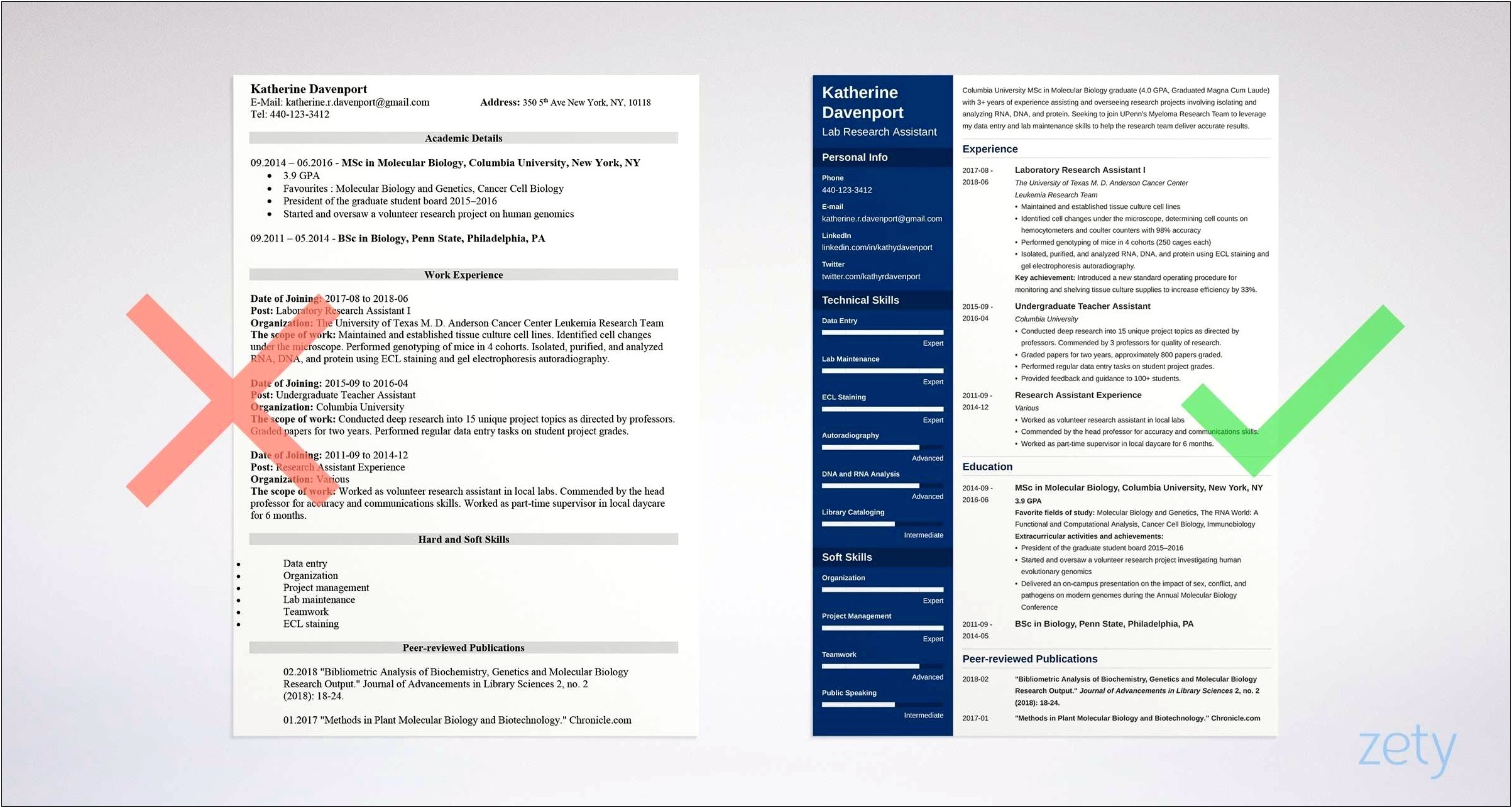 Style Of Resume For Academic Research Jobs