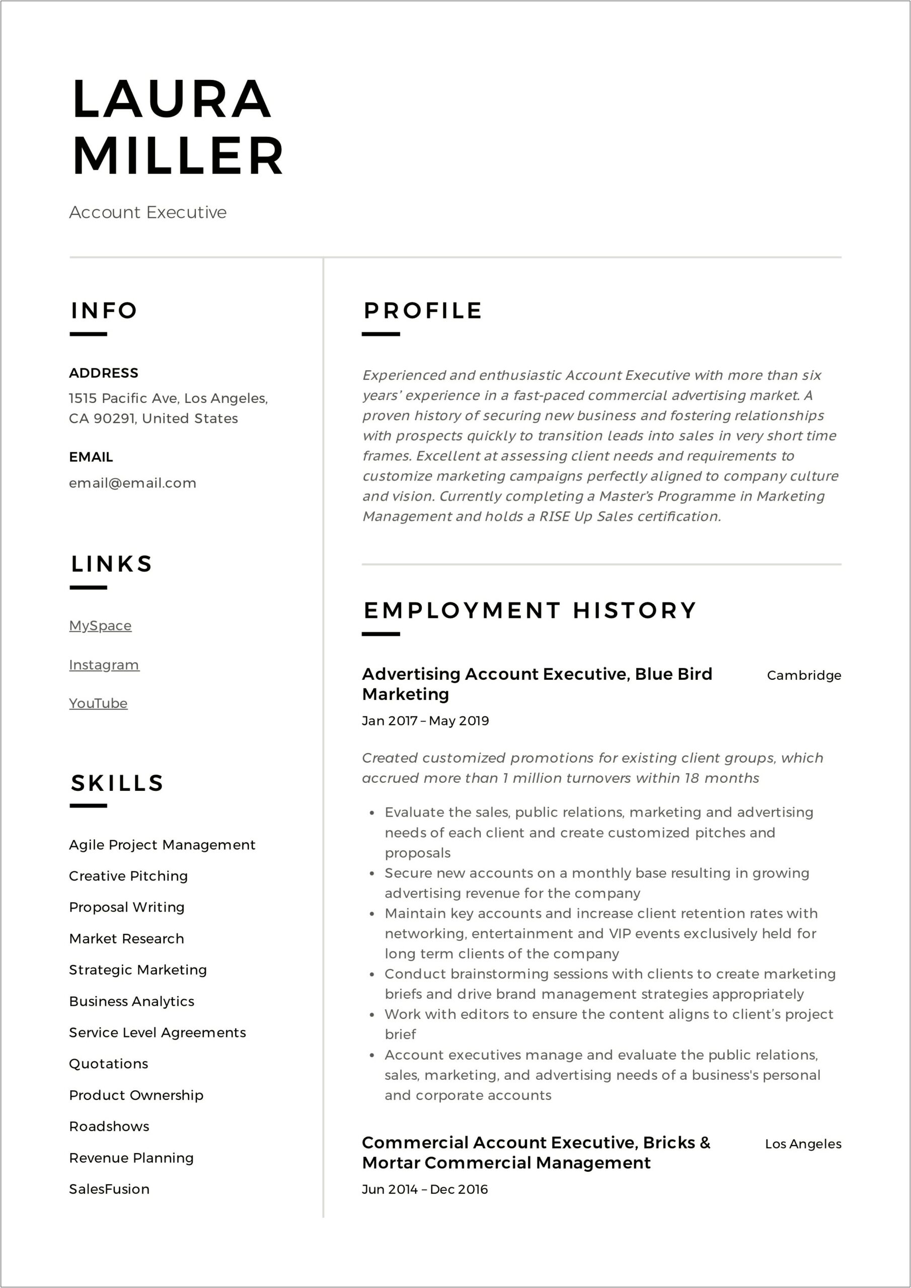 Summary Example For Account Executive Resume
