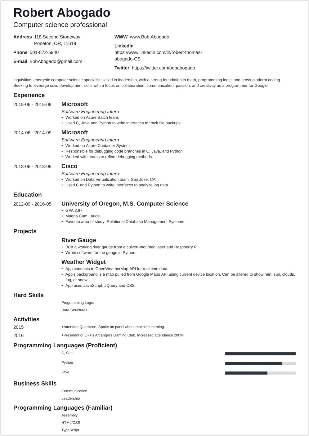 Summary Example For Computer Science Students In Resume