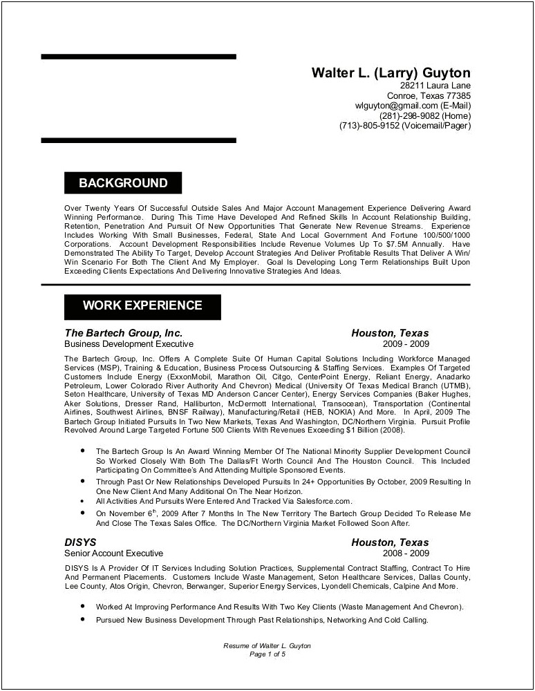 Summary Examples For Account Executive Resume