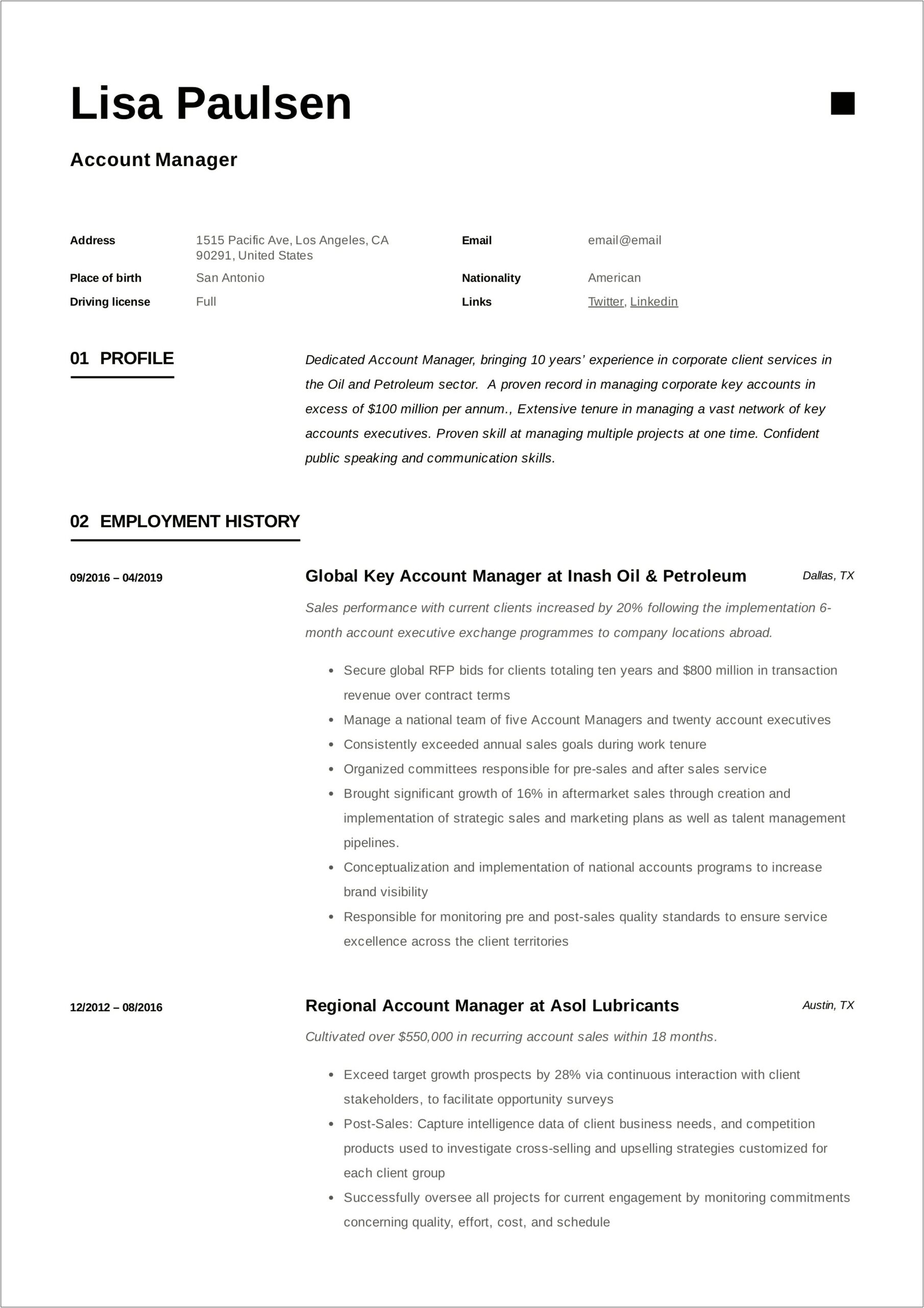 Summary For Resume Account Manager Example