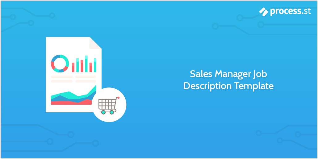 Summary For Resume Account Sales Manager Example
