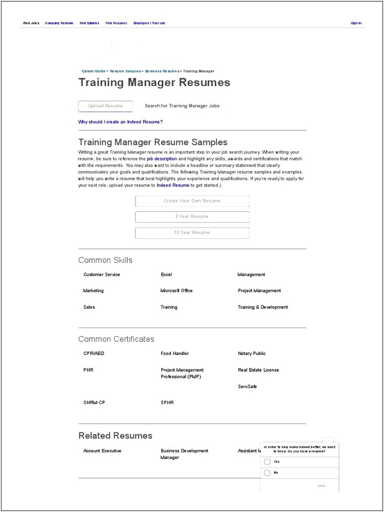 Summary For Resume For Training Manager