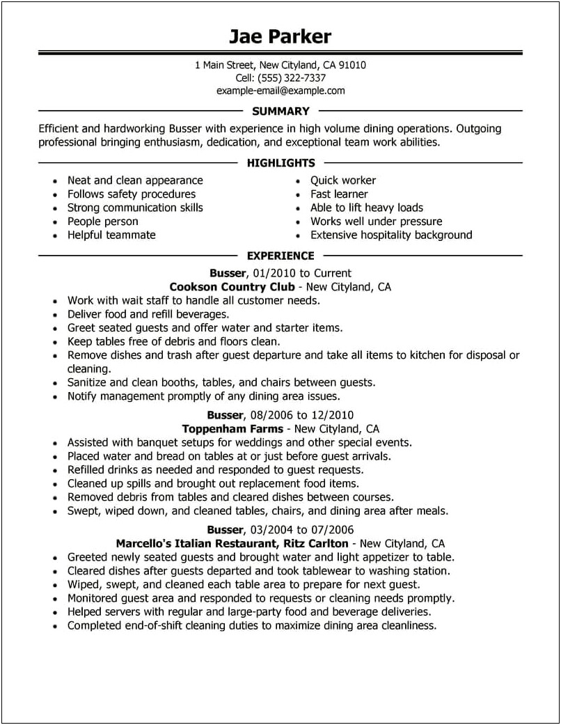 Summary Of Qualifications Examples For Busser Resume