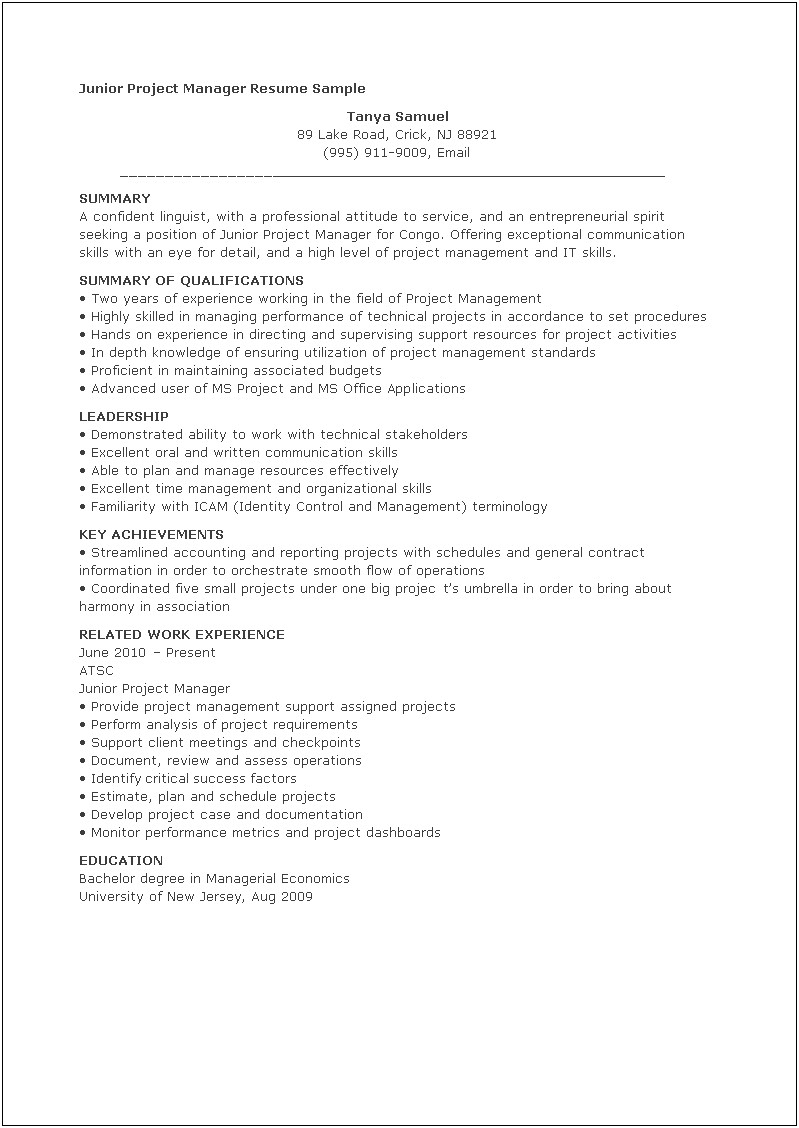 Summary Of Skills Resume Program Manager