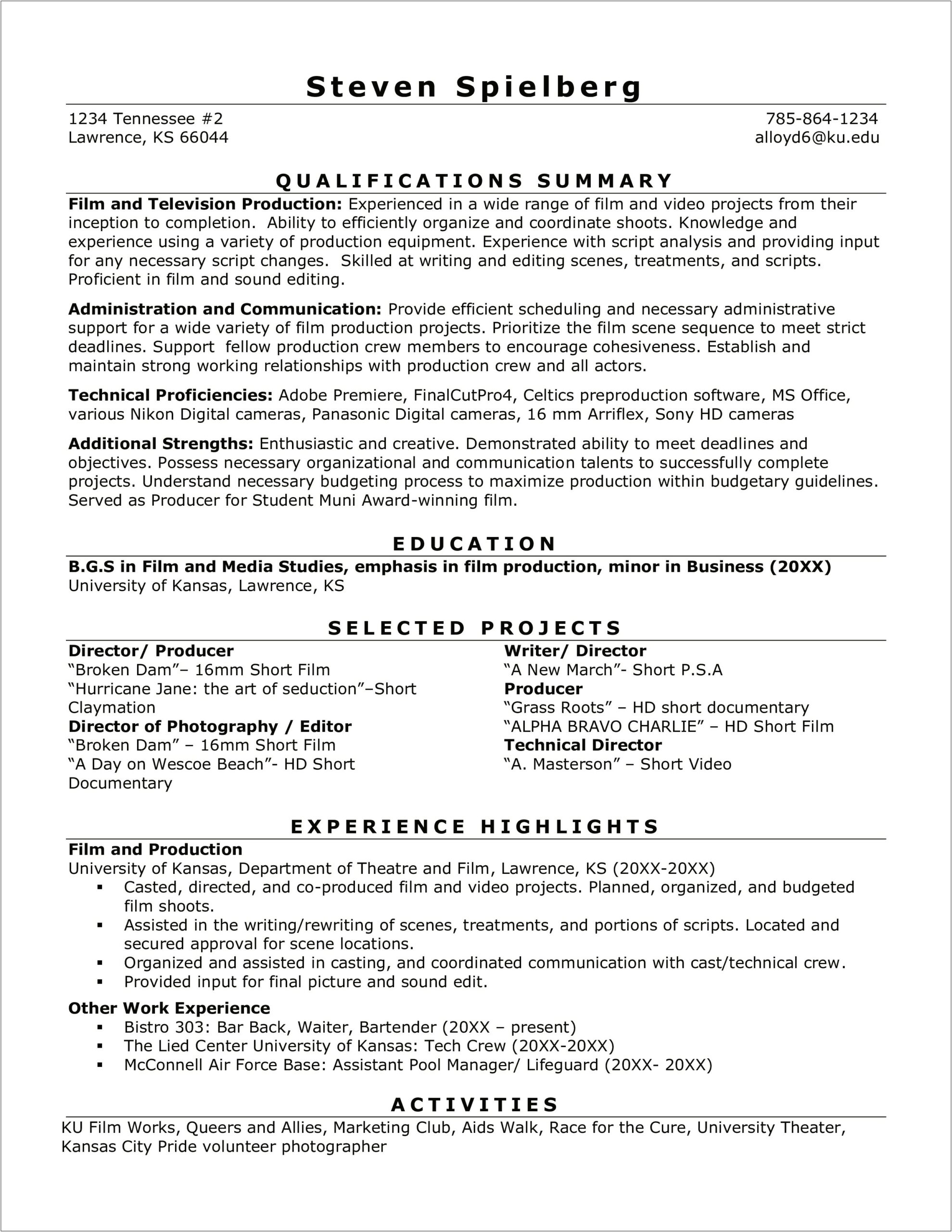 Technical Director In Film Resume Template