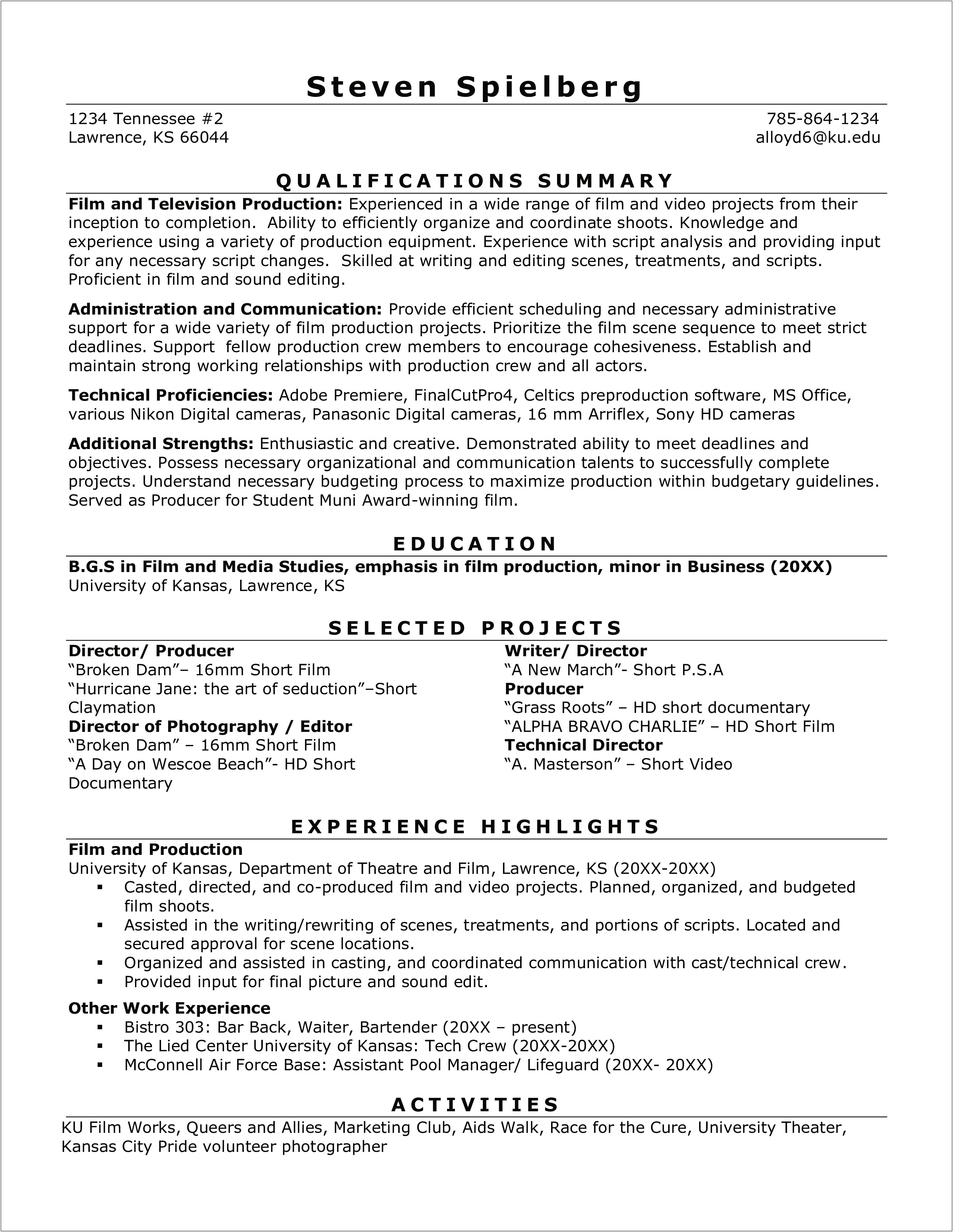 Technical Director In Film Resume Template