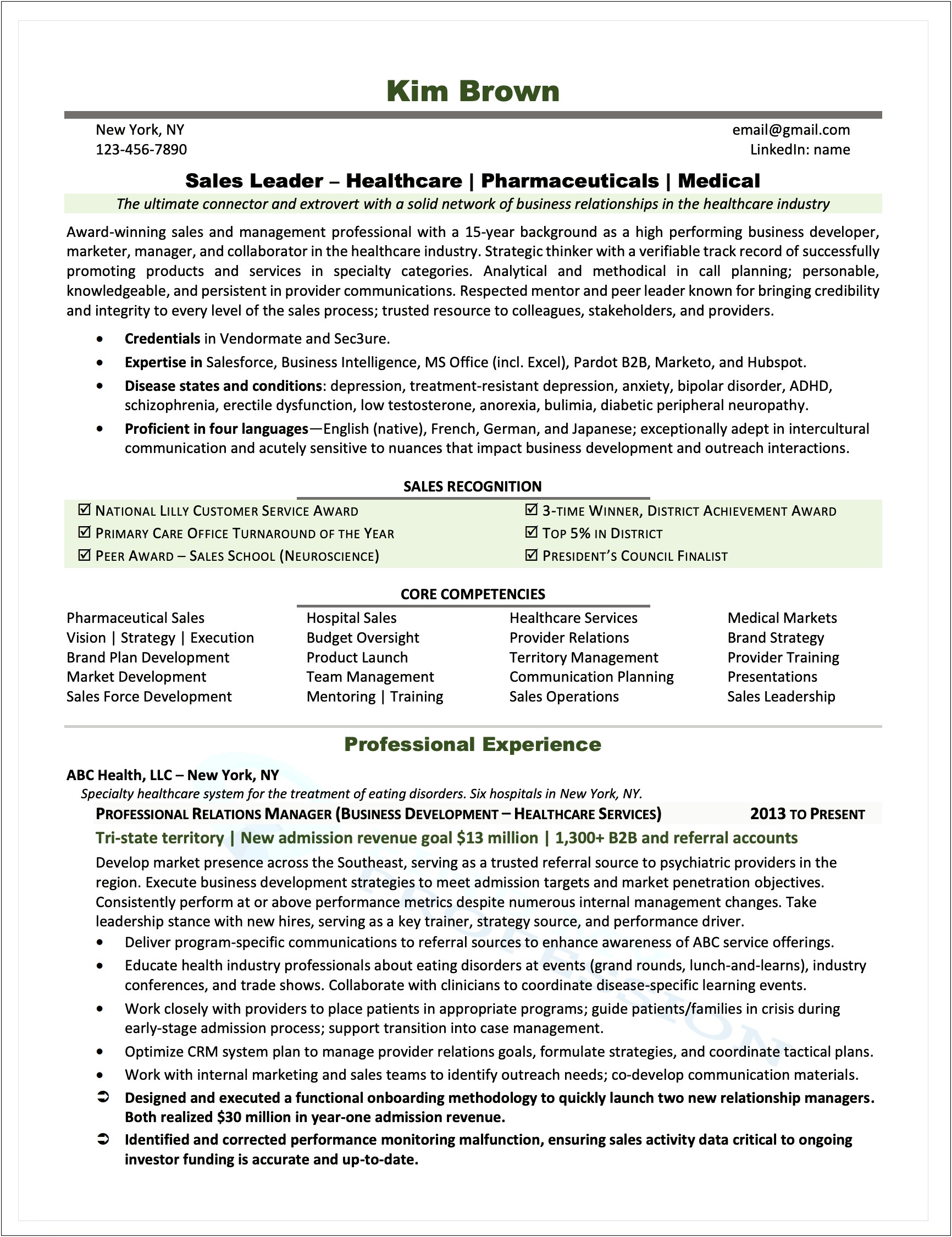 Template For Professional Resume Hospital Vice President