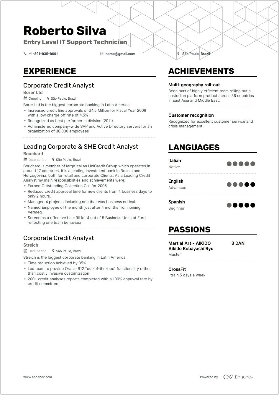 The Best Entry Level Information Technology Resume