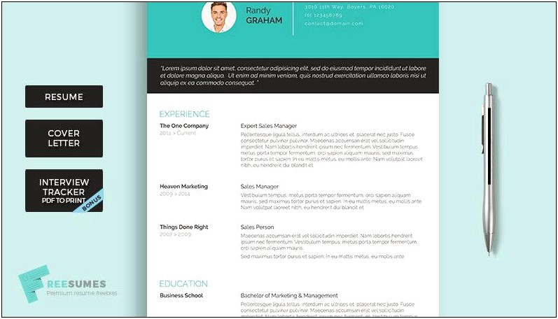 The Template Depot Resume Template 3 Page
