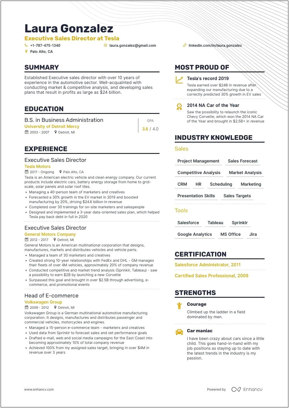 Timeshare Sales Director Of Sales Resume Examples