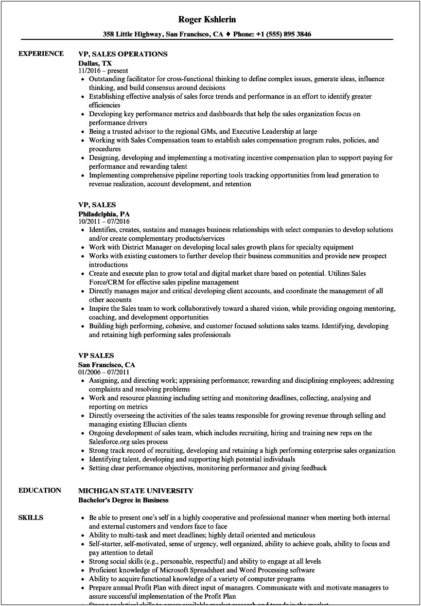 Vice President Of Sales Resume Examples