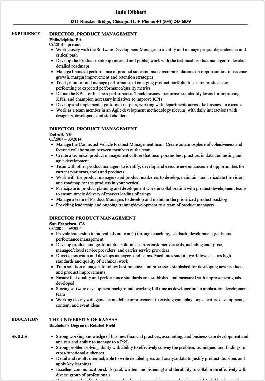 Vp Product Management Resume Example Word