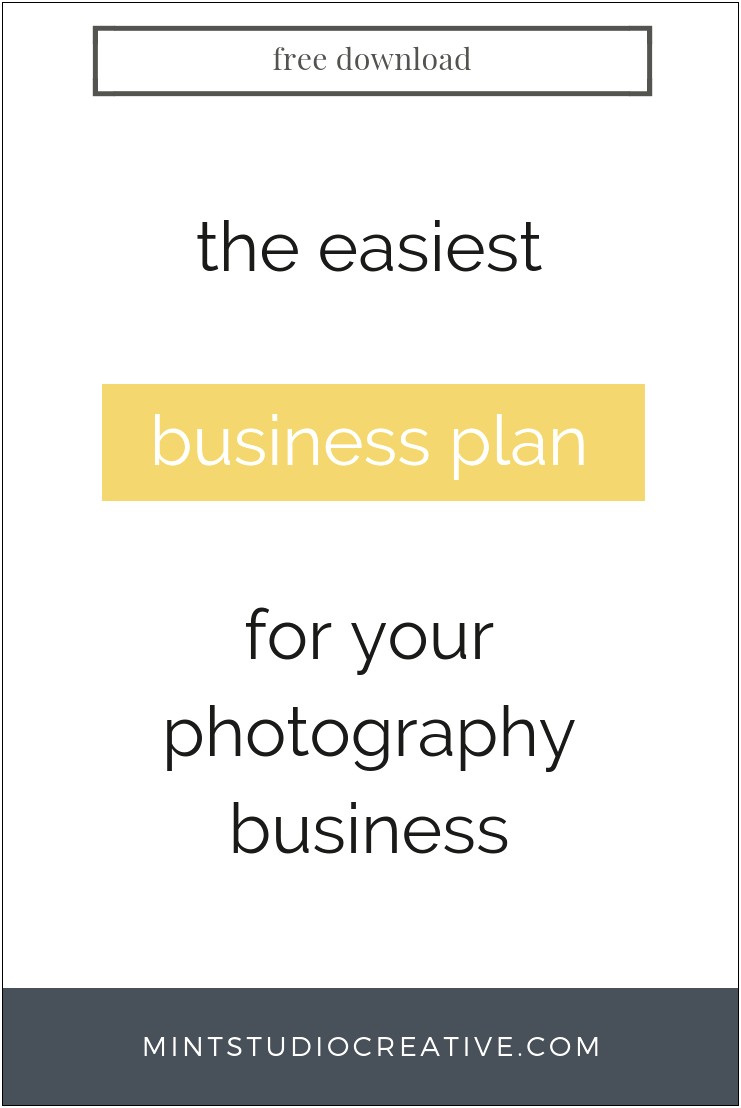 Wedding Photography Business Plan Template Free Download