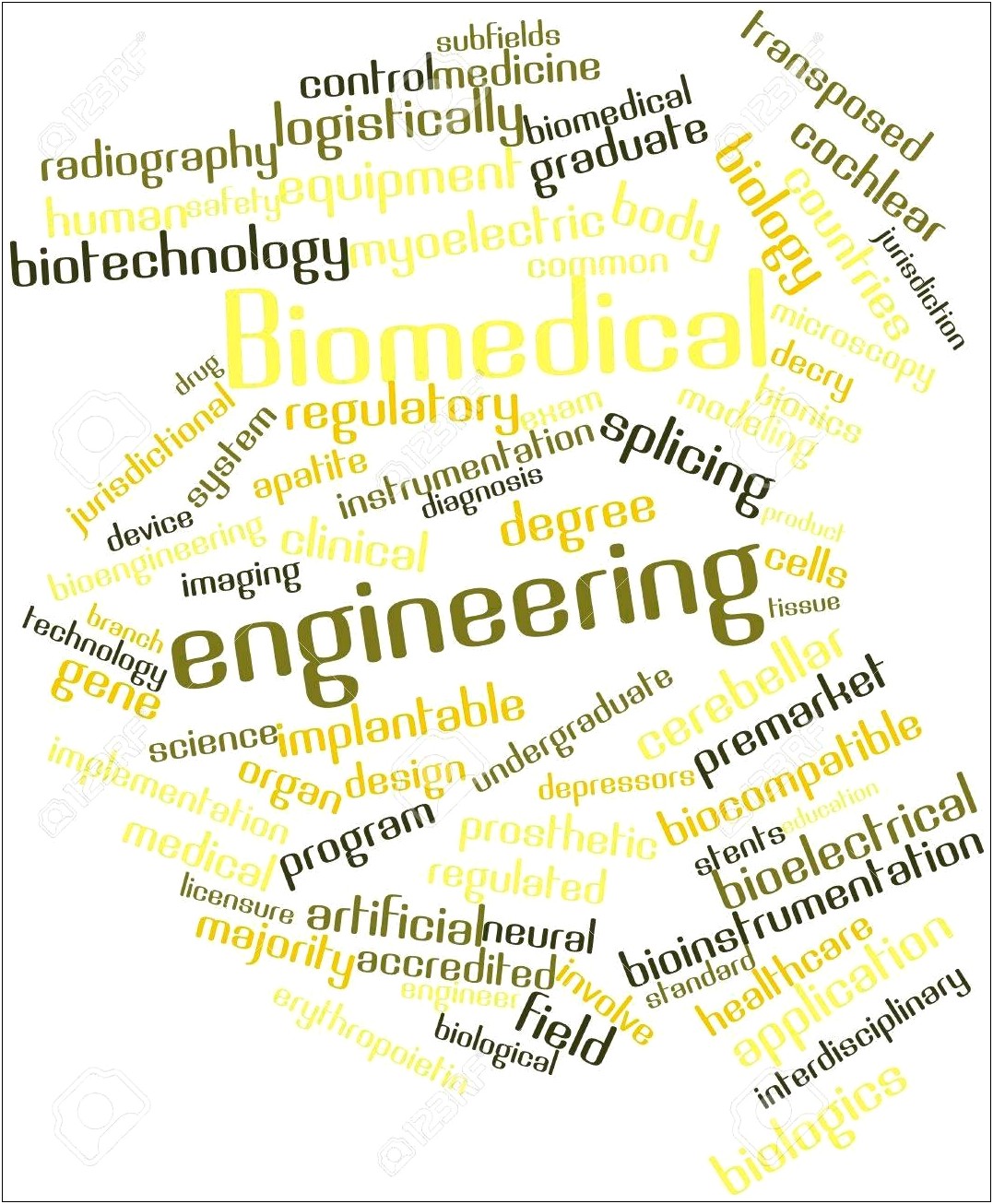 Annals Of Biomedical Engineering Word Template