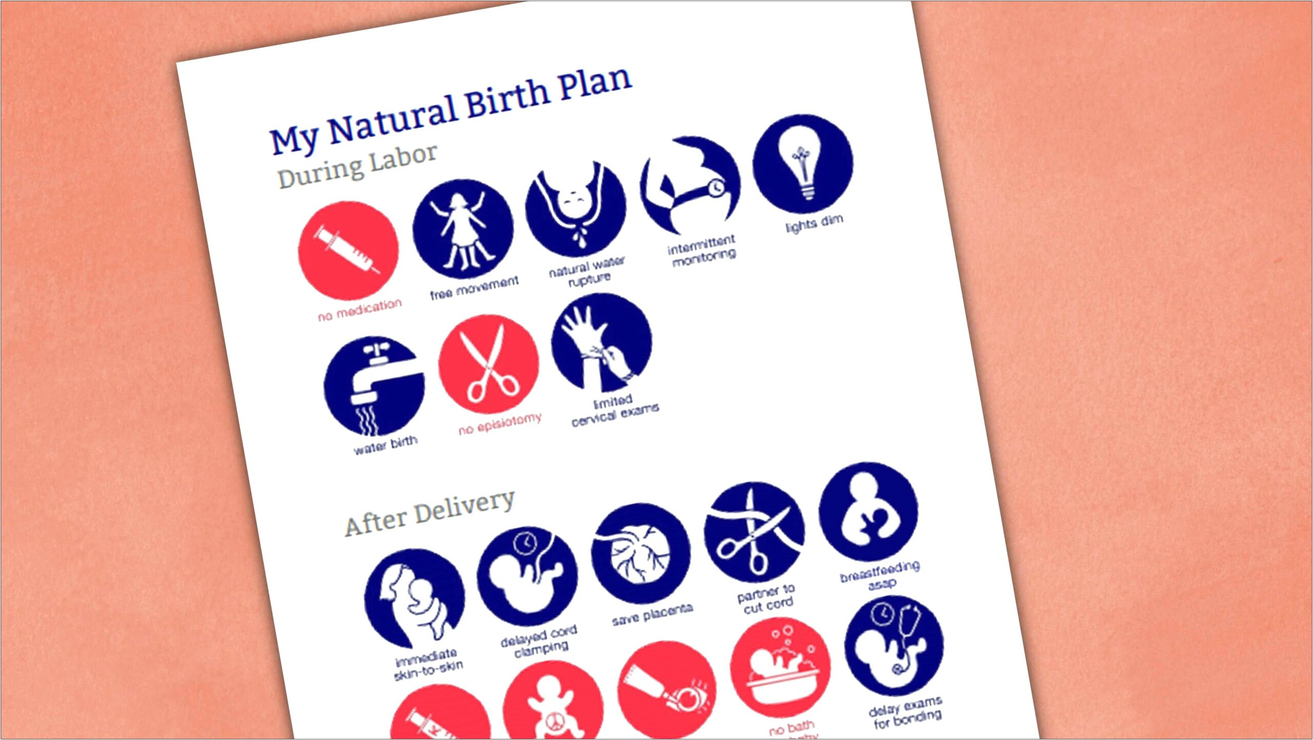 Birth Plan Template Earth Microsoft Word