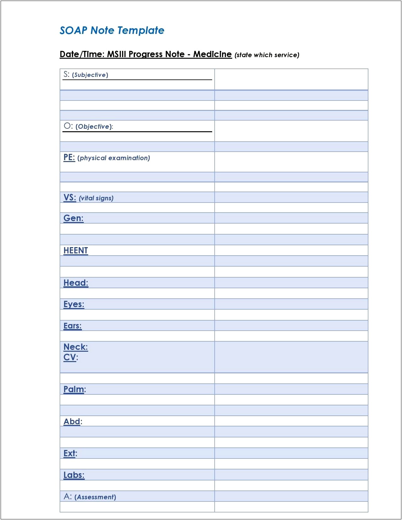 Blank Case Management Notes Template Word Doc