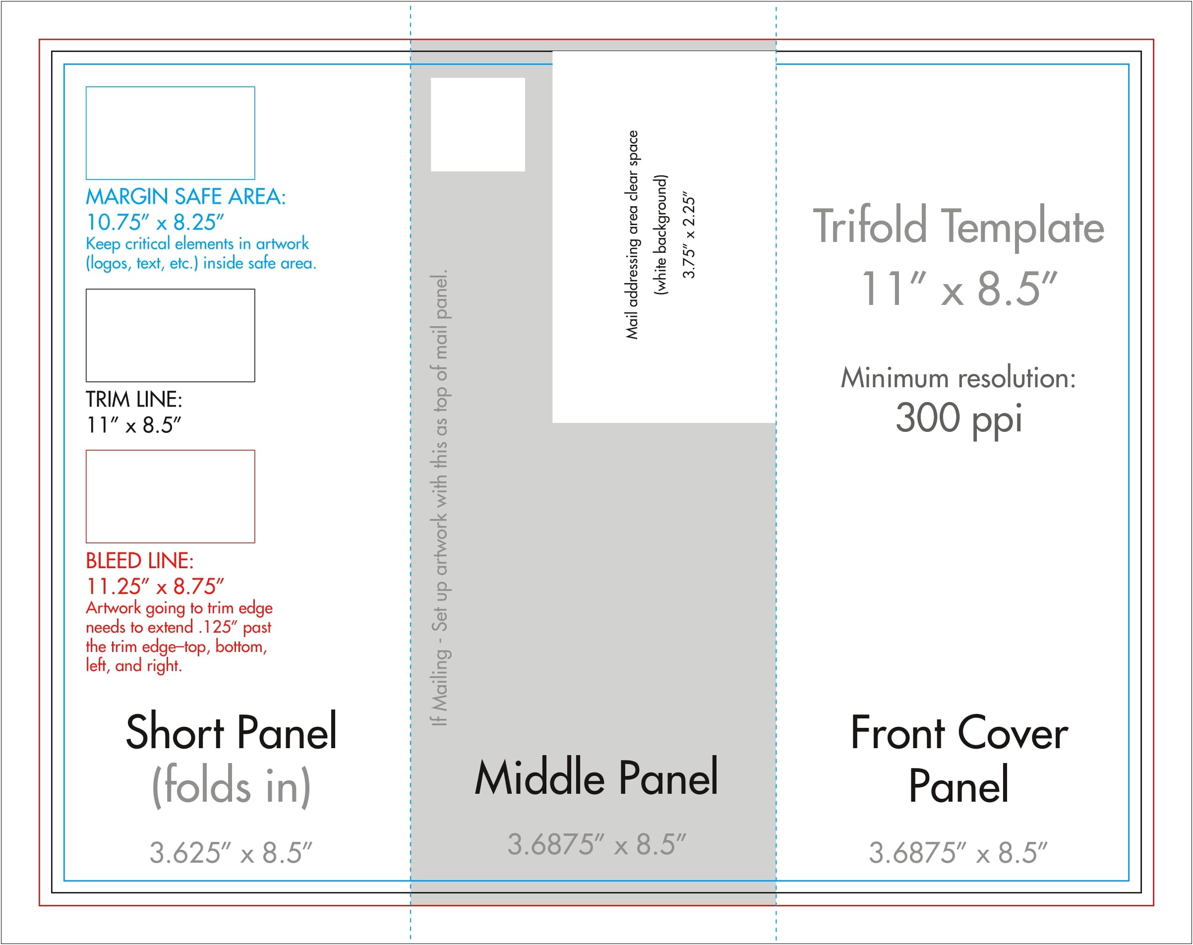 Blank Tri Fold Brochure Template Word 2010