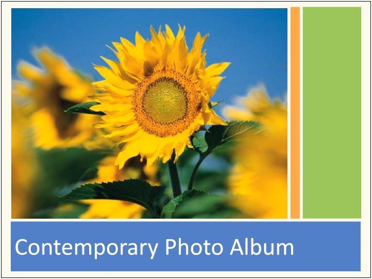 Download Powerpoint Contemporary Photo Album Template