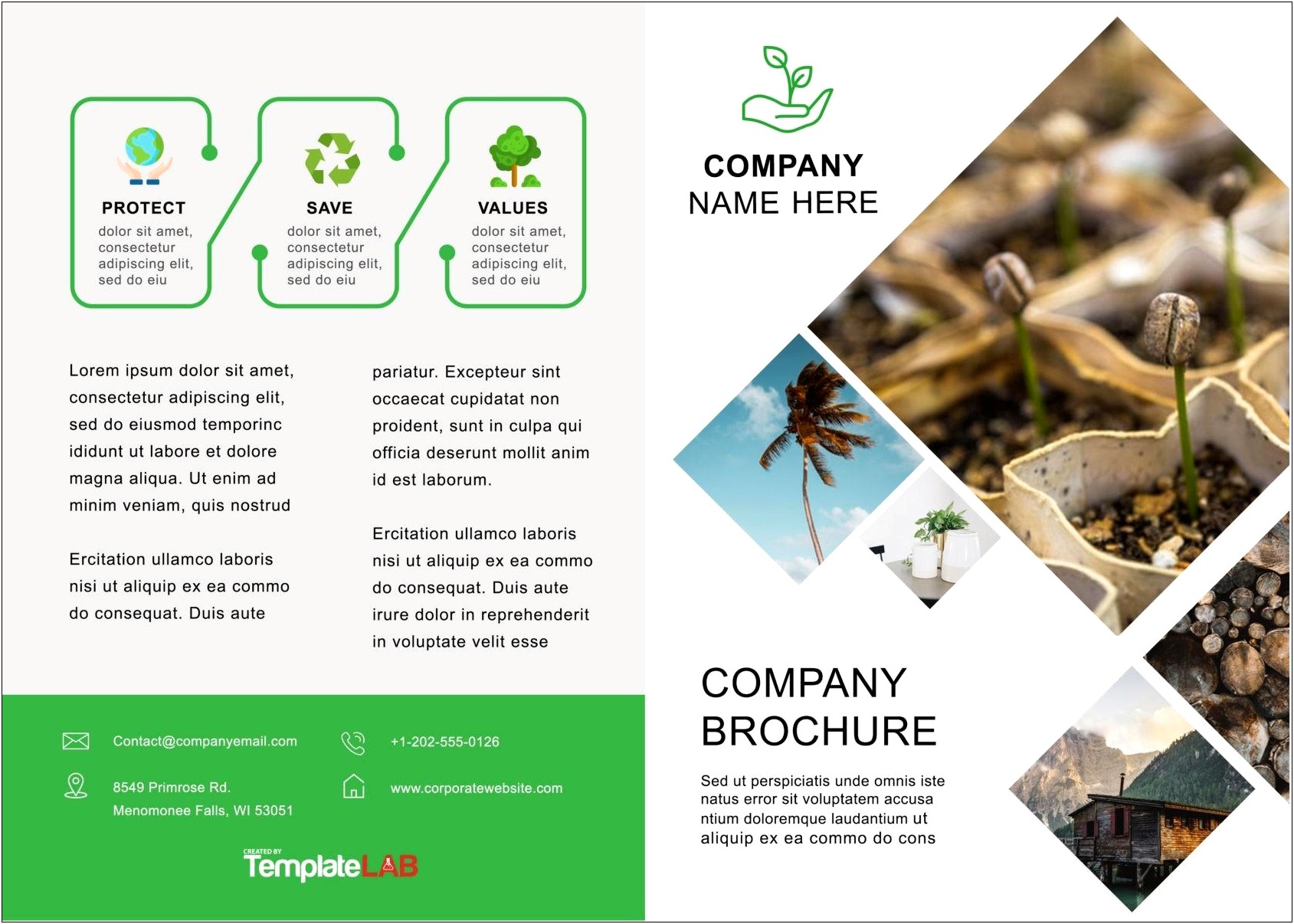 Downloadable Brochure Templates For Microsoft Word