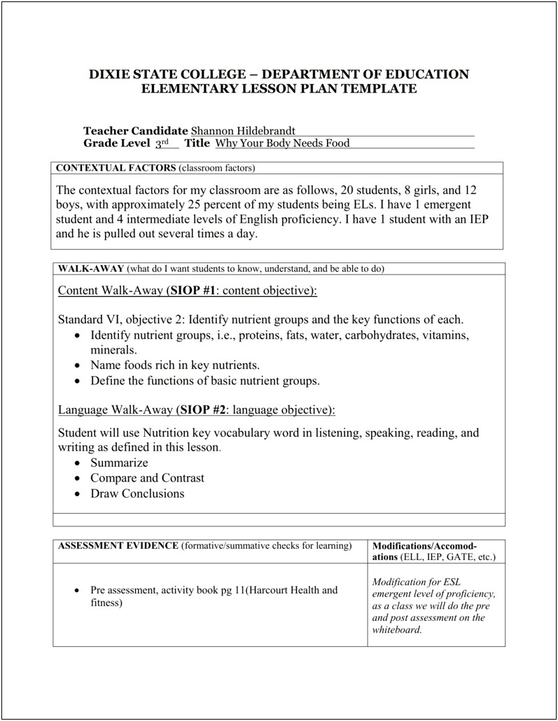 Elementary Lesson Plan Template Word Doc