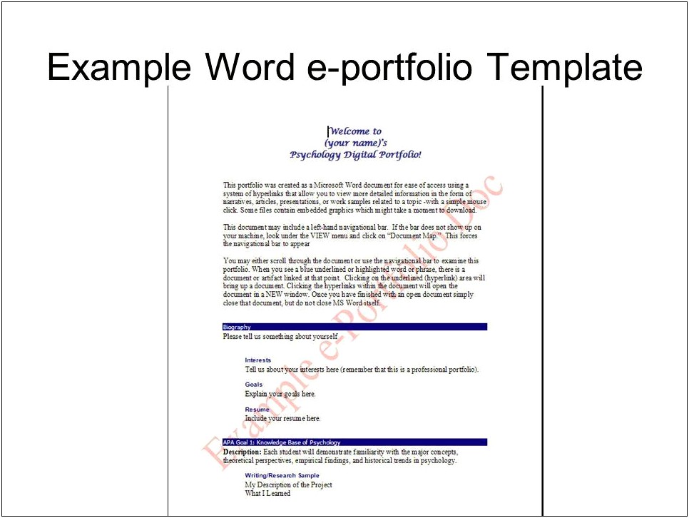 Example Of A Portfolio Template Word