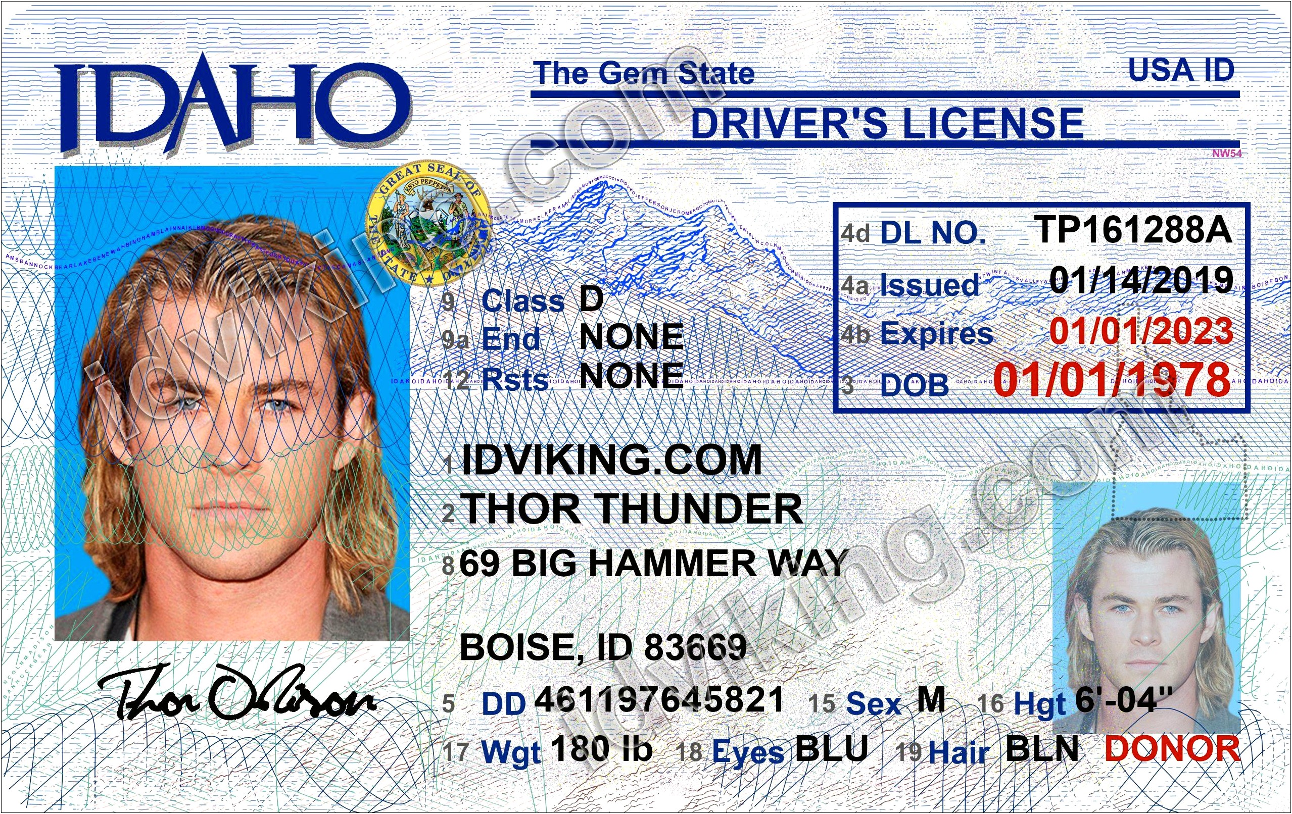 Fake Id Drivers License Template Download