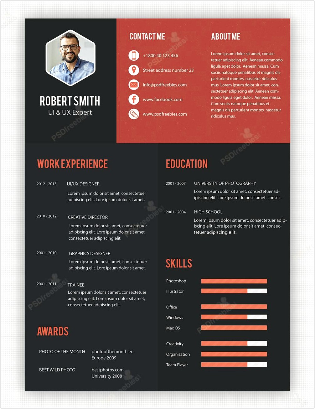 Free Professional Cv Templates To Download