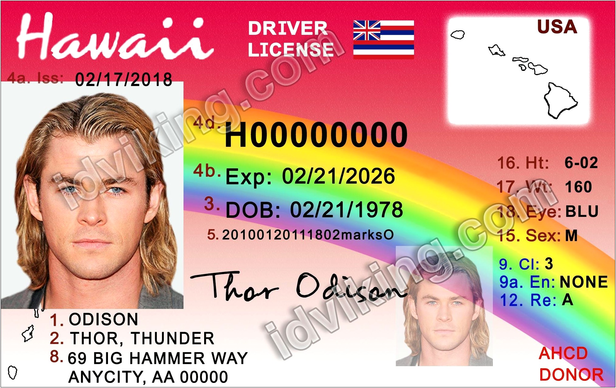 Hawaii Drivers License Template Free Download