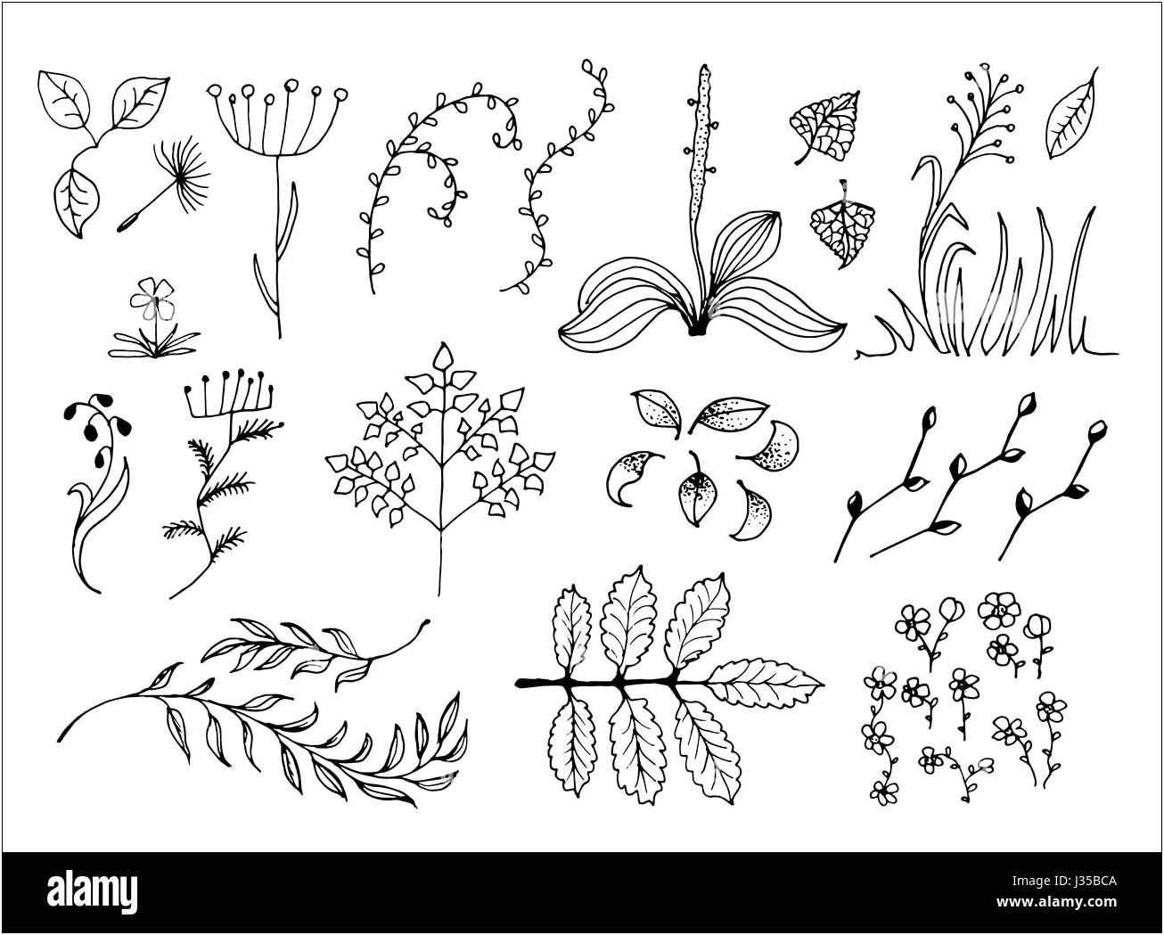 Herbarium Id Card Template Free Download