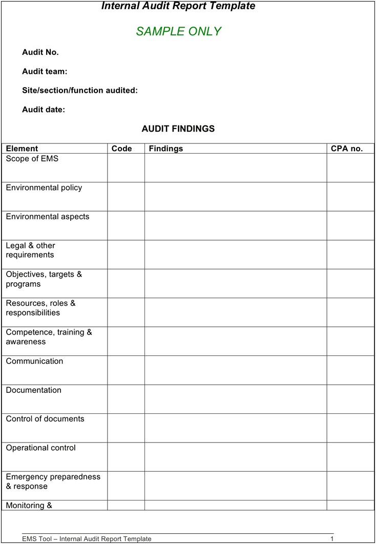 Information Technology Audit Report Template Word