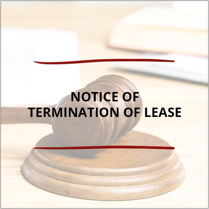 Lease Agreement Word Template South Africa