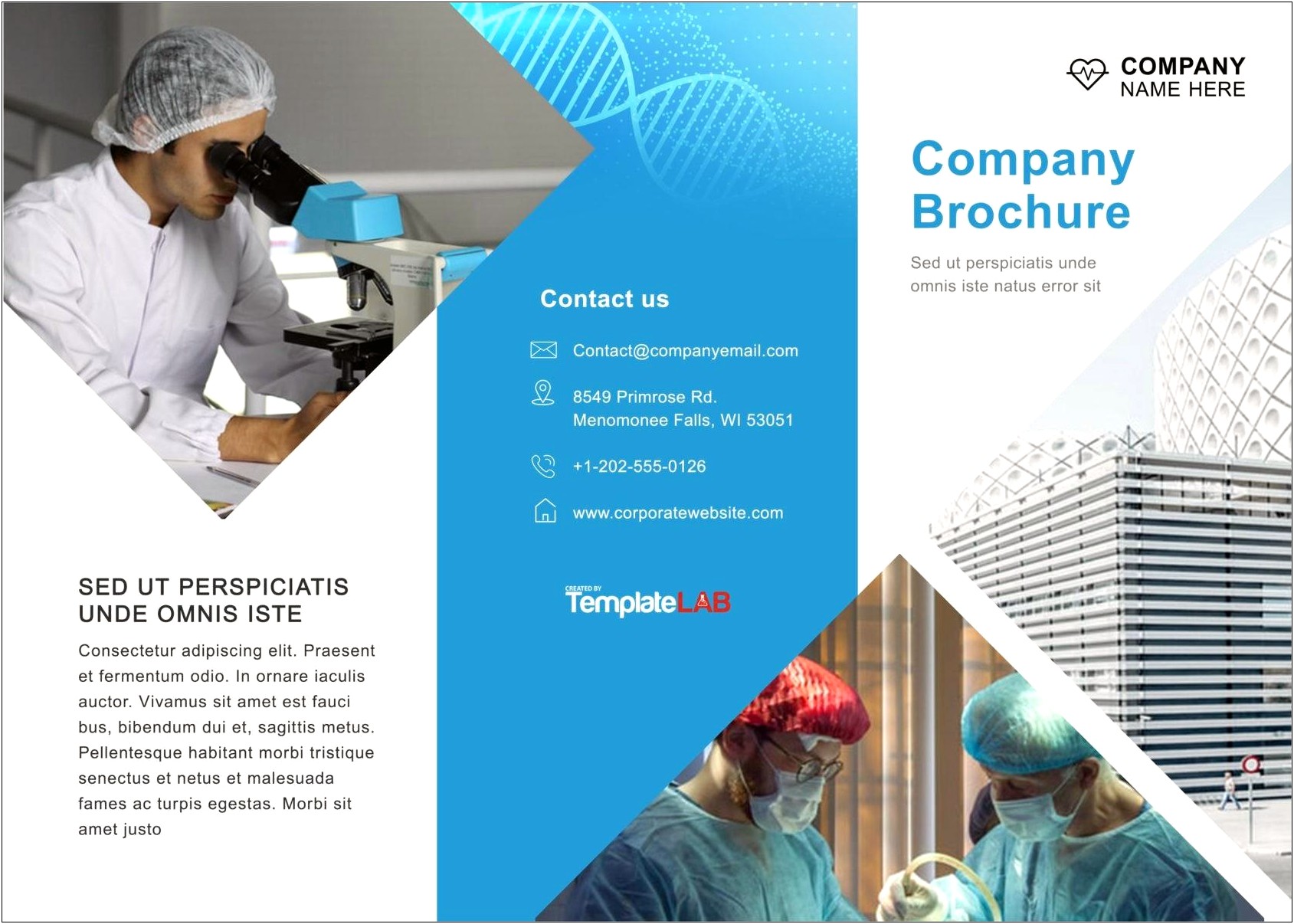 Microsoft Download Templates Trifold Brochure Word