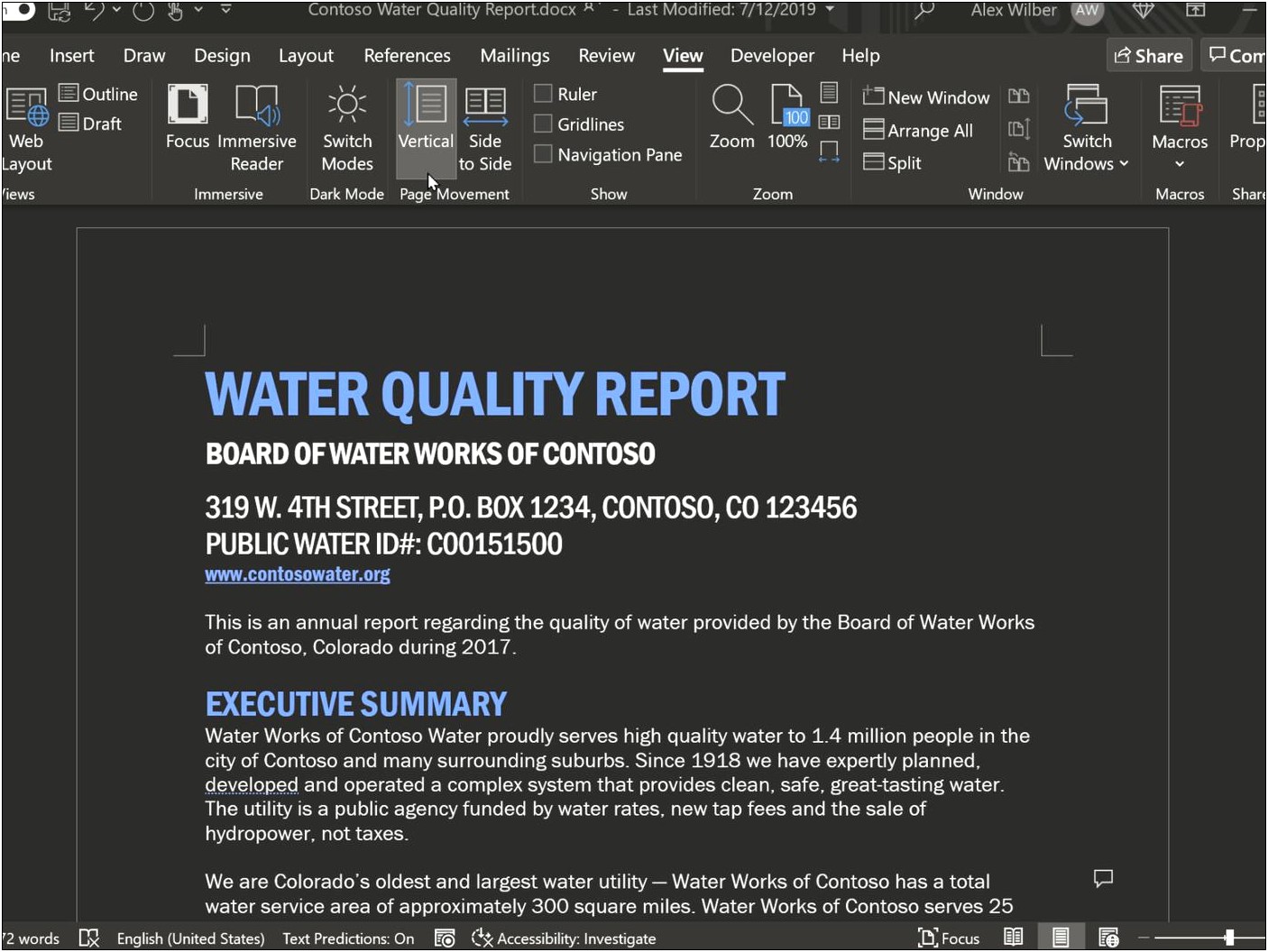 Microsoft Word 2007 Executive Summary Template