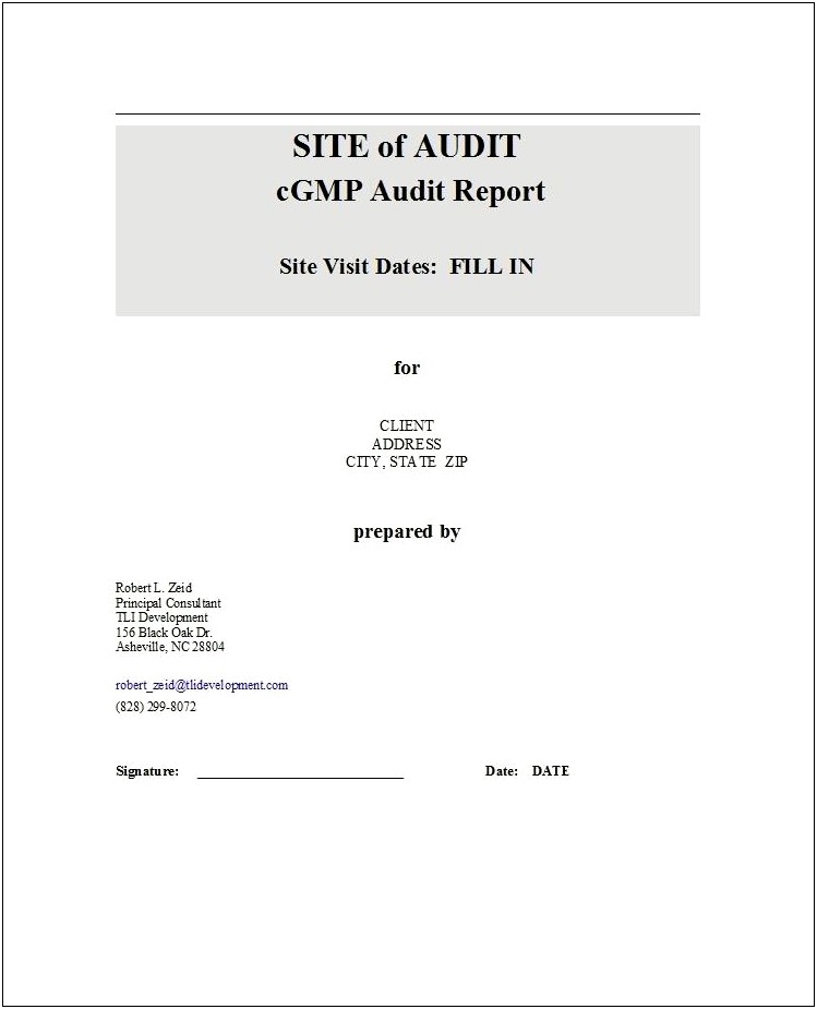 Music Company Audit Report Template Download