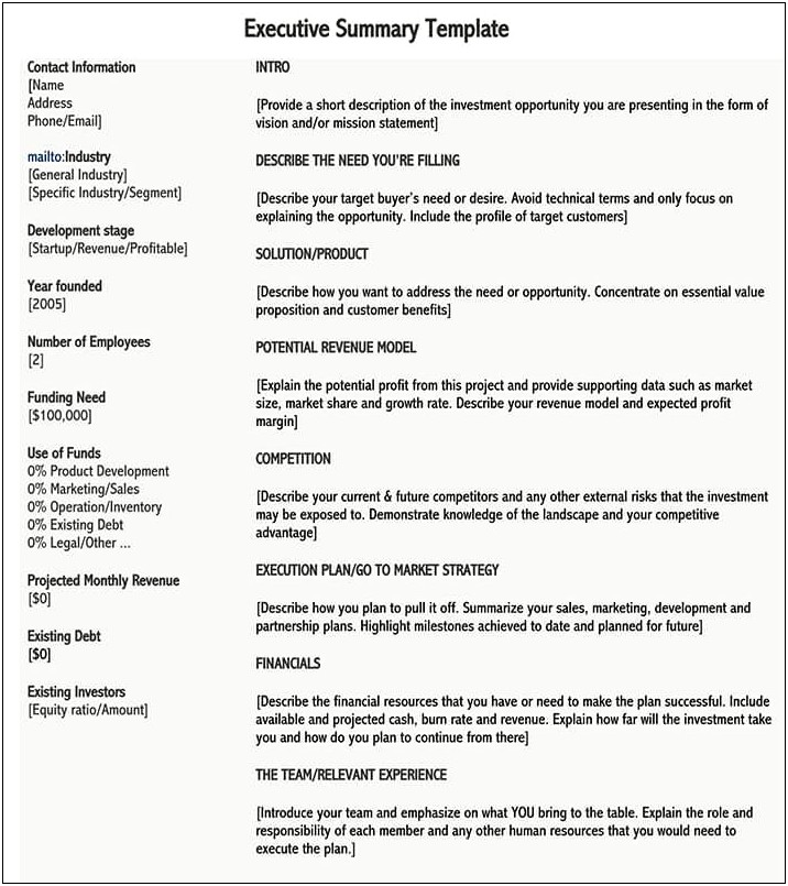 One Page Executive Summary Template Word