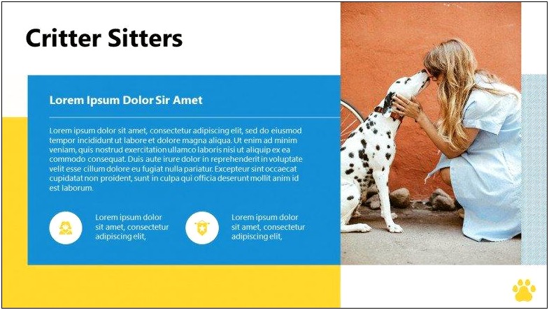 Pet Care Instructions Template Free Download
