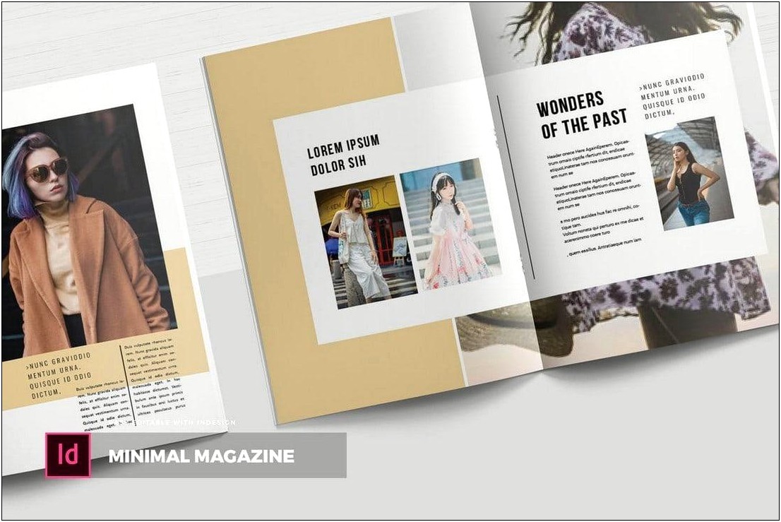 Professional Business Magazine Indesign Template Download